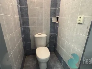 Pronájem skladu, Kamenný Újezd, Na Dolech, 56 m2