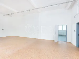 Pronájem skladu, Písek - Budějovické Předměstí, U Vodárny, 288 m2
