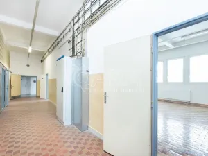 Pronájem skladu, Písek - Budějovické Předměstí, U Vodárny, 288 m2