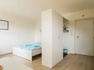 Prodej apartmánu, Staré Město - Stříbrnice, 30 m2