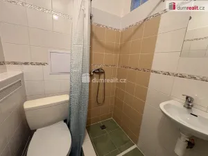 Pronájem bytu 1+1, Příbram - Příbram VII, Mariánská, 32 m2