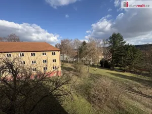 Pronájem bytu 1+1, Příbram - Příbram VII, Mariánská, 32 m2