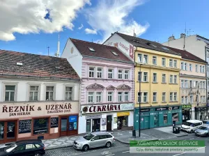 Pronájem bytu 2+1, Praha - Žižkov, Hartigova, 62 m2