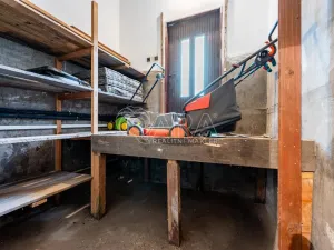 Prodej vícegeneračního domu, Tlustice, 250 m2