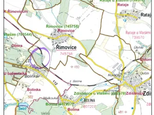 Prodej lesa, Řimovice, 522 m2