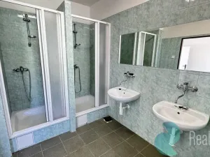Prodej výrobních prostor, České Budějovice, K Dolíčku, 314 m2