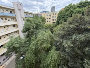 Prodej bytu 1+1, Praha - Vinohrady, Hollarovo náměstí, 43 m2