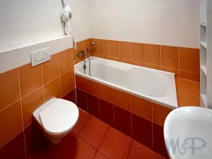 Pronájem bytu 2+kk, Jihlava, Vrchlického, 44 m2
