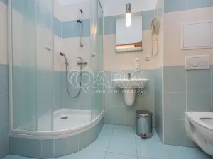 Pronájem bytu 1+kk, Praha - Miškovice, Bendlova, 25 m2