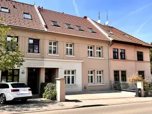 Pronájem bytu 1+kk, Brno, Březinova, 42 m2