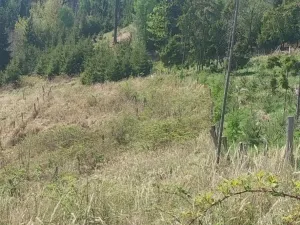 Prodej lesa, Spešov, 2317 m2