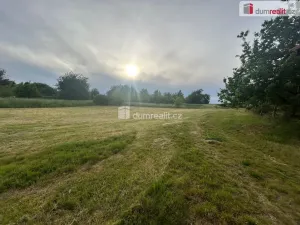 Prodej pozemku pro bydlení, Grunta, 4930 m2