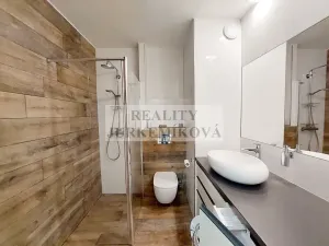 Pronájem bytu 2+kk, České Budějovice, U Lučního jezu, 46 m2