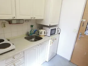 Pronájem bytu 1+kk, Praha, Formanská, 18 m2