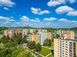 Prodej bytu 2+1, Pelhřimov, Osvobození, 60 m2
