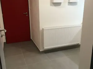 Pronájem bytu 1+kk, Brno - Sadová, Kyselkova, 30 m2