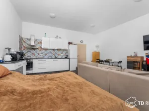 Prodej bytu 1+kk, Brno, Výpravní, 47 m2