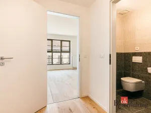 Pronájem bytu 1+kk, Brno - Zábrdovice, Bratislavská, 24 m2