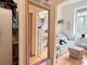 Pronájem bytu 1+kk, Olomouc, Krapkova, 28 m2