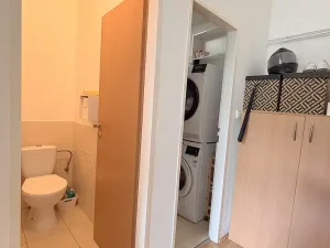 Pronájem bytu 1+kk, Olomouc, Krapkova, 28 m2