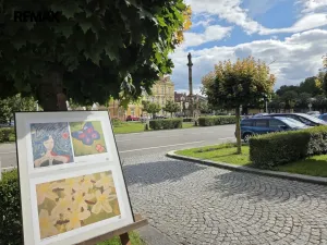 Pronájem bytu 1+1, Opočno, Pohořská, 39 m2