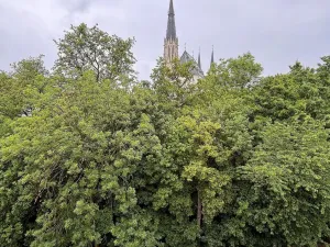 Pronájem bytu 1+kk, Olomouc, Dobrovského, 50 m2