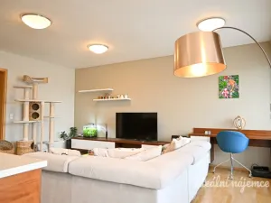 Pronájem bytu 3+kk, Brno - Stránice, Bohuslava Martinů, 121 m2