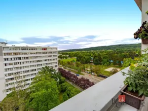Prodej bytu 1+kk, Mladá Boleslav - Mladá Boleslav III, Jičínská, 39 m2