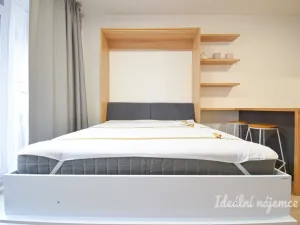 Pronájem bytu 1+kk, Brno - Zábrdovice, Přadlácká, 28 m2