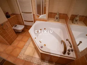 Prodej bytu 5+kk, Brno, Nerudova, 287 m2