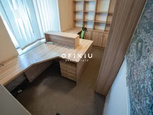 Prodej bytu 5+kk, Brno, Nerudova, 287 m2