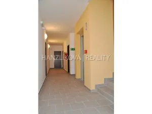 Pronájem bytu 2+kk, České Budějovice - České Budějovice 3, B. Smetany, 40 m2