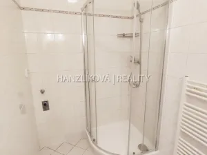 Pronájem bytu 1+kk, České Budějovice - České Budějovice 3, Riegrova, 30 m2