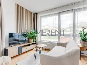 Pronájem bytu 1+kk, Praha - Nusle, Závišova, 30 m2