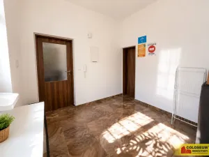 Pronájem bytu 4+kk, Brno - Brno-město, 92 m2