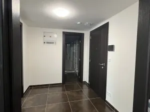 Pronájem bytu 2+kk, Olomouc - Nová Ulice, Třída Jiřího Pelikána, 57 m2