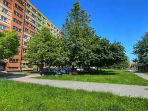 Prodej bytu 1+1, Ostrava - Hrabůvka, Horní, 38 m2