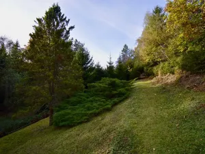 Prodej chaty, Číhošť, 75 m2
