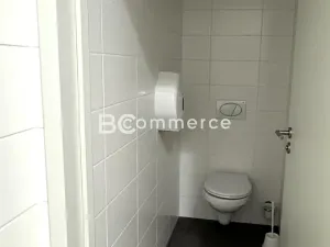 Pronájem kanceláře, Brno, Letiště Brno-Tuřany, 300 m2