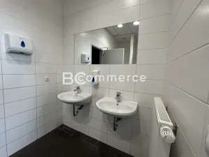 Pronájem kanceláře, Brno, Letiště Brno-Tuřany, 600 m2