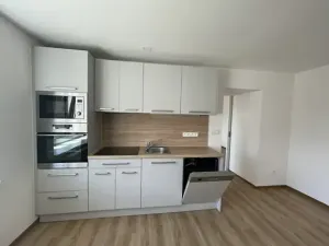 Pronájem bytu 2+1, Ústí nad Labem, Na Stráni, 86 m2