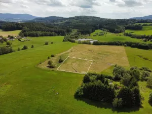 Prodej pozemku pro bydlení, Česká Kubice - Starý Spálenec, 2459 m2