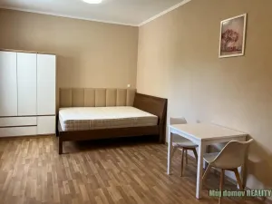 Pronájem bytu 1+kk, Praha - Strašnice, Na stezce, 30 m2