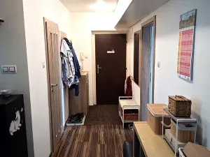 Prodej bytu 2+kk, Brno, Renneská třída, 67 m2
