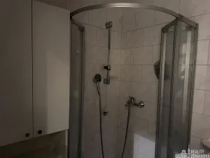 Pronájem bytu 4+kk, Praha - Vinohrady, Řipská, 135 m2