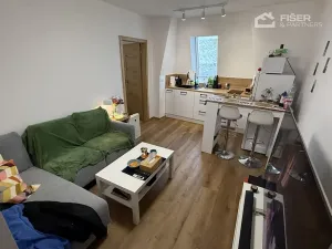 Pronájem bytu 2+kk, Valašské Meziříčí, Křižná, 42 m2