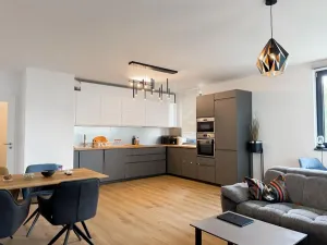 Pronájem bytu 6+kk a větší, Praha - Žižkov, Olgy Havlové, 115 m2