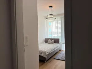 Pronájem bytu 6+kk a větší, Praha - Žižkov, Olgy Havlové, 115 m2