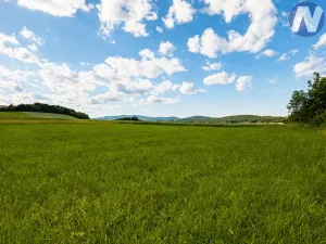 Prodej pozemku pro bydlení, Brloh - Rojšín, 1291 m2