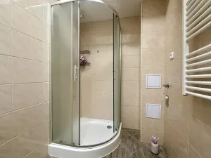 Pronájem bytu 2+kk, Plzeň, Mánesova, 43 m2